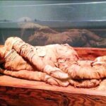 تصاویر عجیب مومیایی‌ها در بزرگ‌ترین موزه جهان در مصر