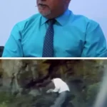 روایت بهروز افخمی از نقش پدر نیکی کریمی در قراردادهای بازیگری او