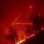 واکنش علیرضا قربانی به سوختن جنگل‌های هیرکانی