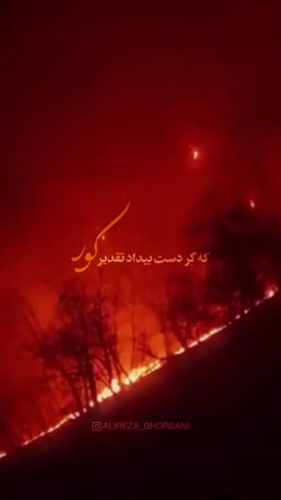 واکنش علیرضا قربانی به سوختن جنگل‌های هیرکانی