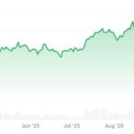 بازار کریپتو هر آنچه برای یک بازار صعودی لازم است را دارد، پس چرا بازار نزولی است؟