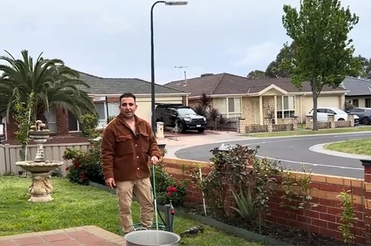 طرز تهیه کلم شور عربیِ اصل، ترد و خوشمزه