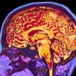 مطالعه هرمنوتیکی جمله مشکل فهم، خود فهم است در چارچوب پیش فهم های انسانی