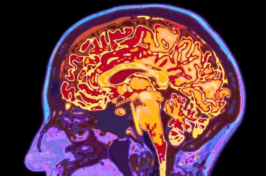 مطالعه هرمنوتیکی جمله مشکل فهم، خود فهم است در چارچوب پیش فهم های انسانی