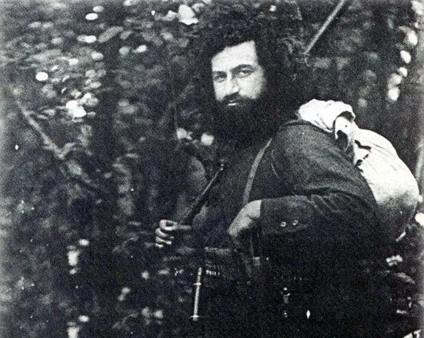 میرزاکوچک‌خان جنگلی؛ جنگل از خلخال و طارم امن شد تا انزلی