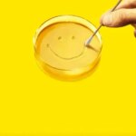 نقد فصل اول سریال Pluribus؛ مرثیه‌ای برای فردیت