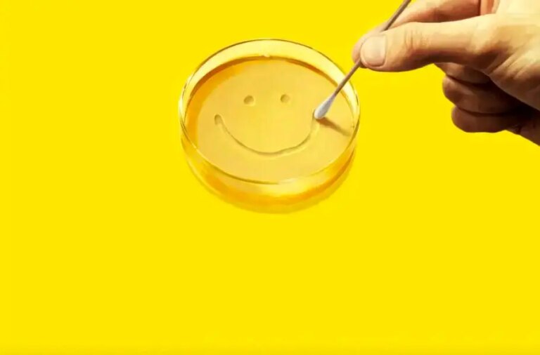 نقد فصل اول سریال Pluribus؛ مرثیه‌ای برای فردیت