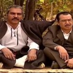 چرا ساخت دوباره شب‌های برره بی معنی است؟