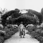 چگونه مونه، باغ خود را مشهورترین منظره تاریخ هنر کرد؟