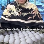 واکنش المیرا شریفی مقدم به تخم مرغ 500 هزار تومانی!